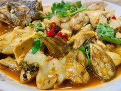-煲来饱去冷水鱼