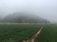 -南泥湾风景区