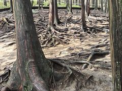 -含鄱口