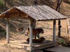 -石家庄市动物园