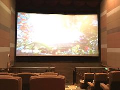 放映厅-中影国际影城(东方新天地CINITY店)