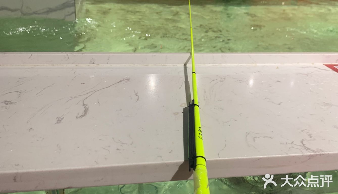 #凯尔文探店#哈虾大少