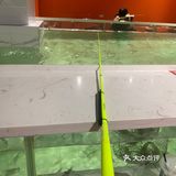 #凯尔文探店#哈虾大少