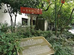 -杭州黄龙洞
