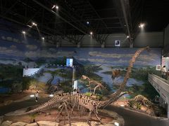 -自贡恐龙博物馆