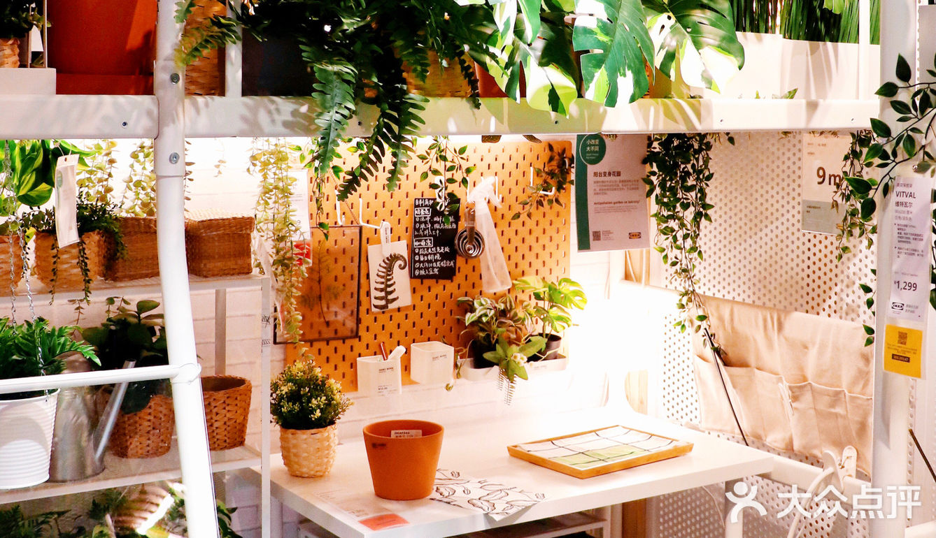 上海网红打卡地 No.129｜全新·徐汇宜家