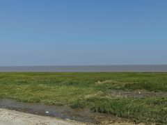 -南汇嘴观海公园