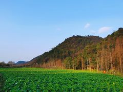 -贵阳市花溪国家城市湿地公园