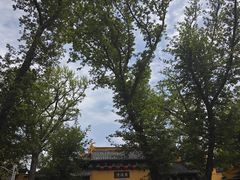 -虞山风景区
