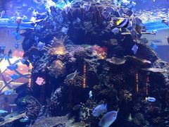 -长隆海洋王国自助餐厅(横琴湾店)