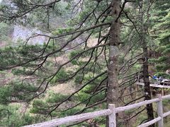 -秦岭天竺山景区