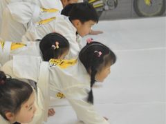 -勇气斑马·巴西柔术&跆拳道(浦东三林店)