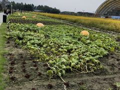 -中国天府农业博览园