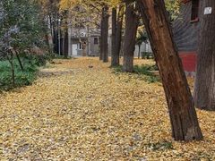 -四川大学(望江校区)