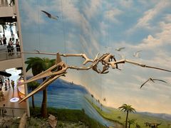 -辽宁古生物博物馆