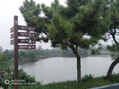 -日照海滨国家森林公园