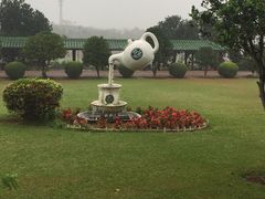 -侯臣咖啡文化村