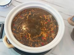 -蘑统田下·野生菌火锅