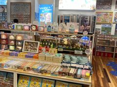 -猫的天空之城概念书店(印象城购物中心店)