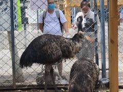 -长白岛森林公园