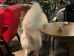 -咖法森林·咖啡  酒吧(天河店)