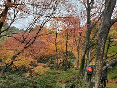 -常寂光寺