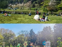 -共青国家森林公园-售票处