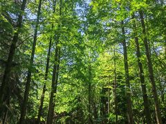 -苏州河梦清园环保主题公园