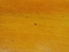 -天妇罗内顺田(罗湖店)