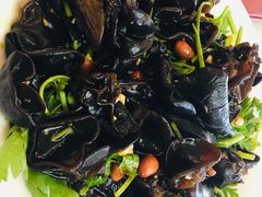 凉拌野生木耳-黄埔华苑酒家(黄埔总店)