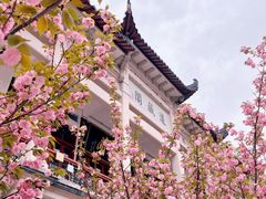 -长春观