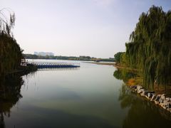 -大兴滨河森林公园