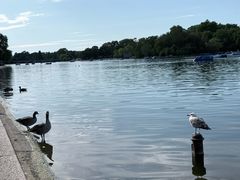 -海德公园