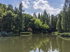 -上海滨江森林公园