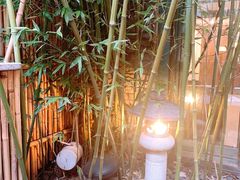 -春晖园度假酒店温泉