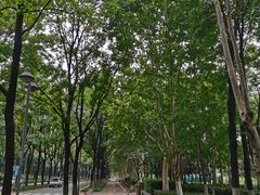 -后襄河公园