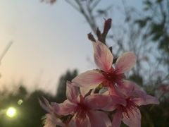 -小南山公园