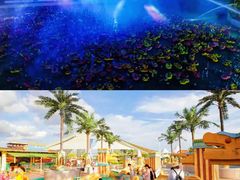 -上海玛雅海滩水公园