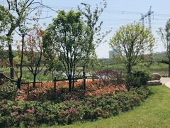 -昆山城市生态森林公园