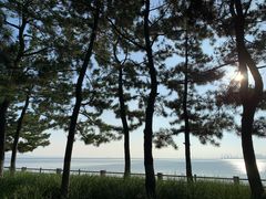 -悦海公园