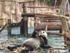 -泉州海丝野生动物世界