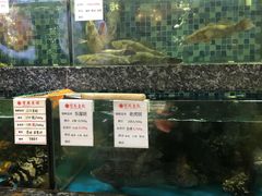 -宝燕壹号(徐汇店)