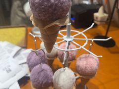-野人先生现做冰淇淋(北京环宇荟店)