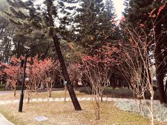 -广州雕塑公园