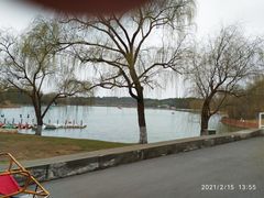-东方绿舟景区