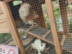 -HERRE·FARM 赫尔露营农场·团建聚会包场