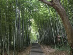 -采石矶景区