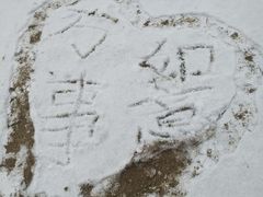 -美玲拉面(鞍山西道店)