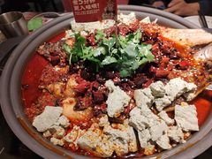-师烤·豆花烤鱼(广州荔湾扬韬广场店)