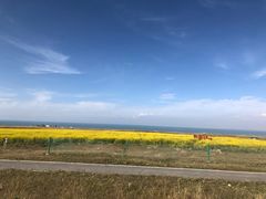 -青海湖国家重点风景名胜区